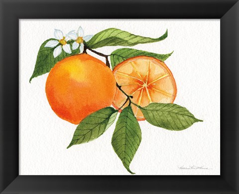 Framed Citrus Garden V Print