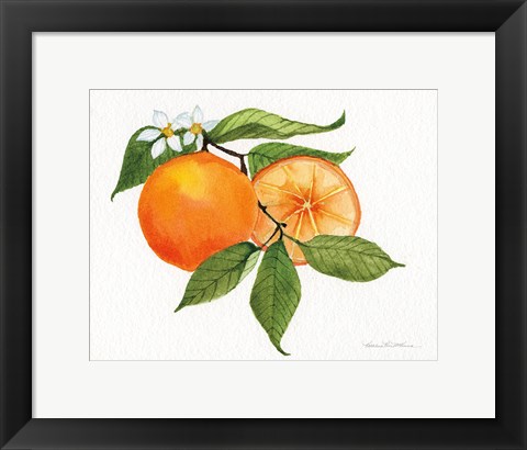 Framed Citrus Garden V Print