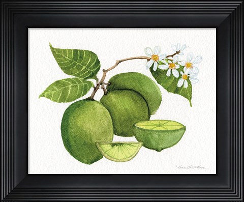 Framed Citrus Garden IV Print