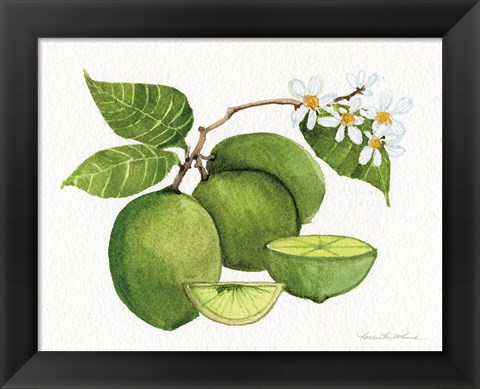 Framed Citrus Garden IV Print