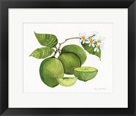 Framed Citrus Garden IV Print