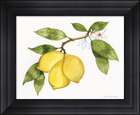 Framed Citrus Garden I Print