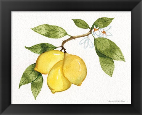 Framed Citrus Garden I Print