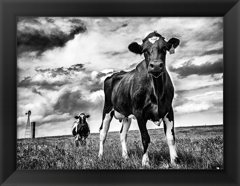 Framed Waiting BW Crop Print