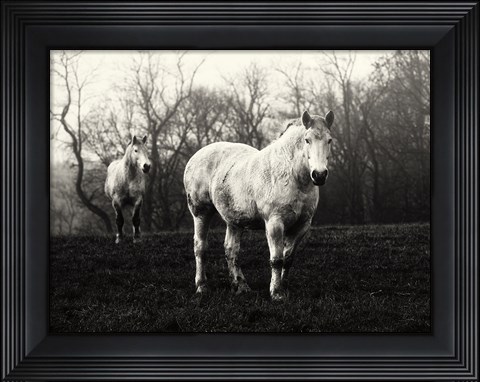 Framed Leading the Way Print