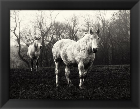 Framed Leading the Way Print