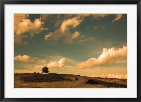Framed What Beautiful Clouds Print