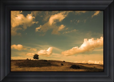 Framed What Beautiful Clouds Print