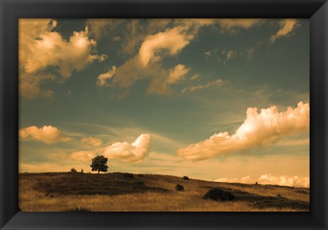 Framed What Beautiful Clouds Print