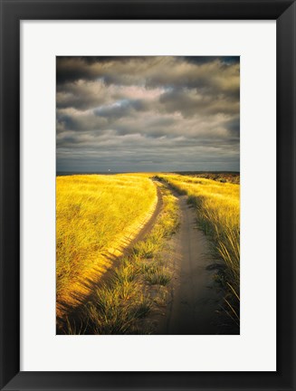Framed Down the Road Print