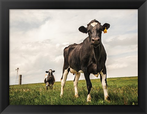 Framed Waiting Color Print