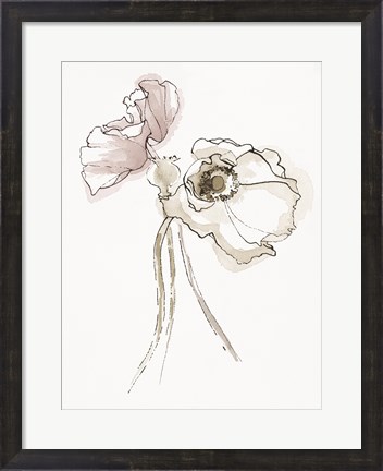 Framed Three Somniferums Poppies Neutral II Print