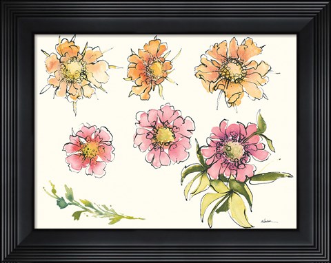 Framed Scabiosa Bits Print