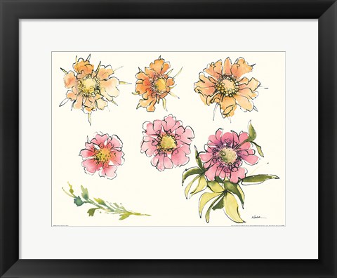 Framed Scabiosa Bits Print