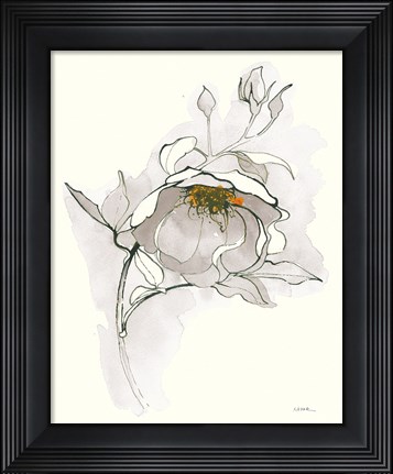 Framed Carols Roses V Off White Print