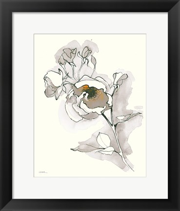 Framed Carols Roses IV Tan Print