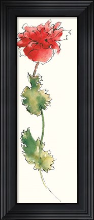 Framed Peony Form Poppies I Print