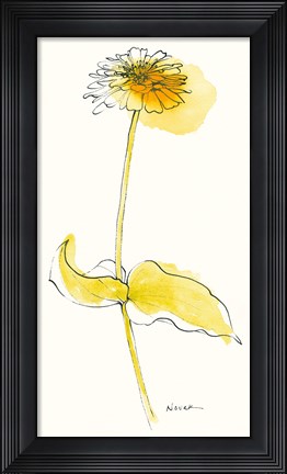 Framed Zinnia V Print