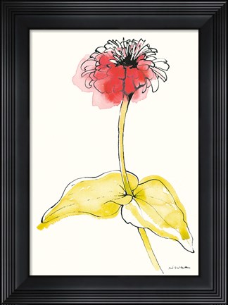 Framed Zinnia II Print
