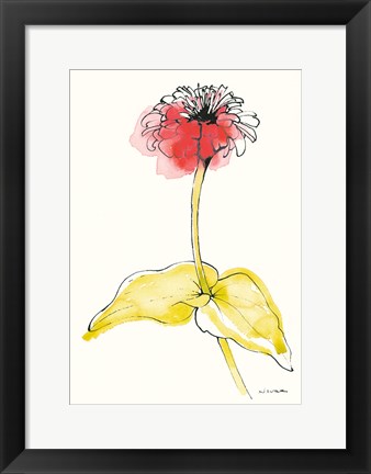 Framed Zinnia II Print