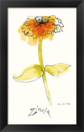Framed Zinnia III Print