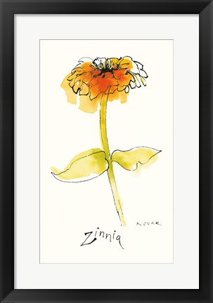 Framed Zinnia III Print