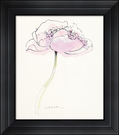 Framed Single Pink Somniferum II Print