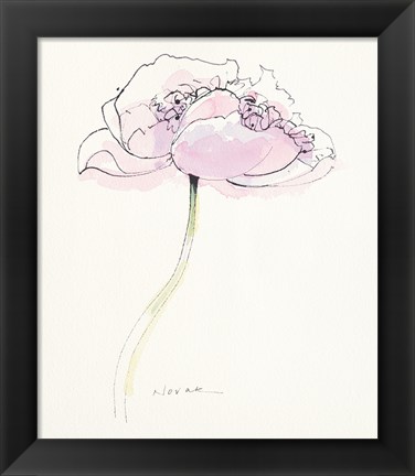 Framed Single Pink Somniferum II Print