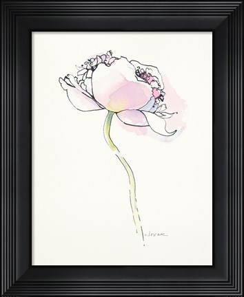 Framed Single Pink Somniferum I Print