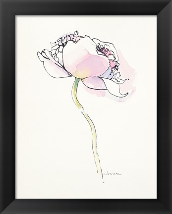 Framed Single Pink Somniferum I Print