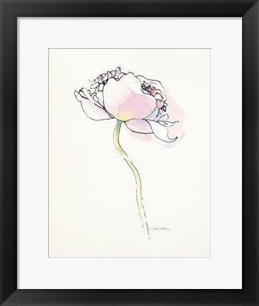 Framed Single Pink Somniferum I Print