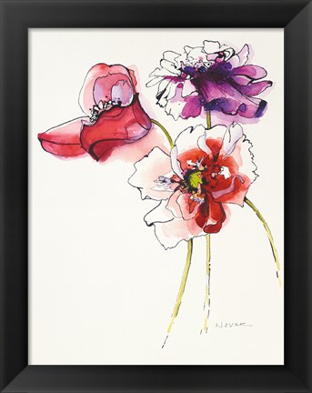 Framed Three Somniferums Poppies Print