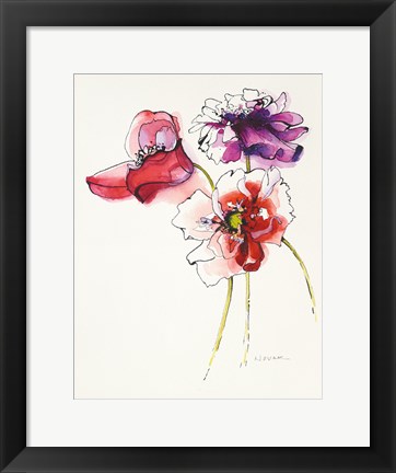 Framed Three Somniferums Poppies Print