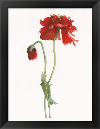 Framed Red Somniferum Print