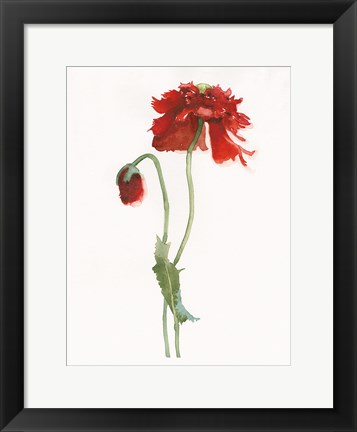 Framed Red Somniferum Print