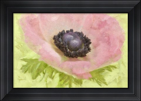 Framed Anemone Pink and Lime Print