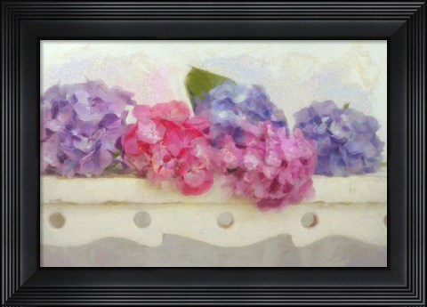 Framed Blue and Pink Hydrangea flowers on a Bench Print