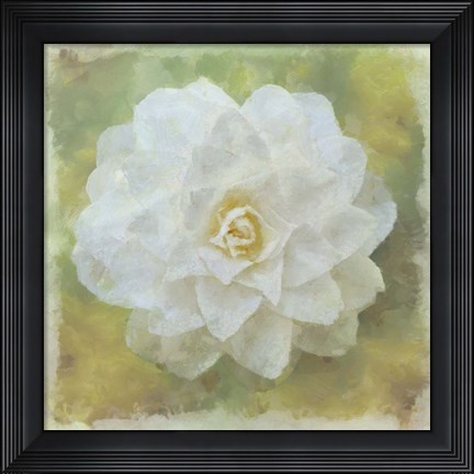 Framed Camelia White Print