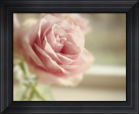 Framed Dreamy Rose Print