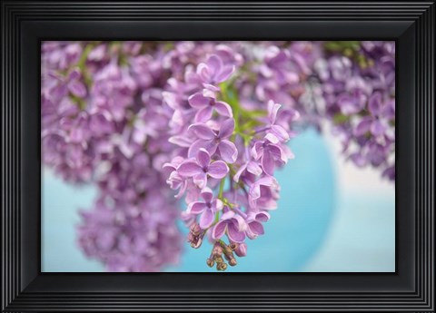 Framed Lilacs in Blue Vase I Print