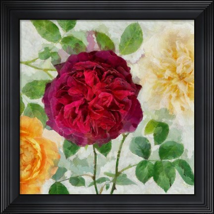 Framed Peonies and Roses II Print