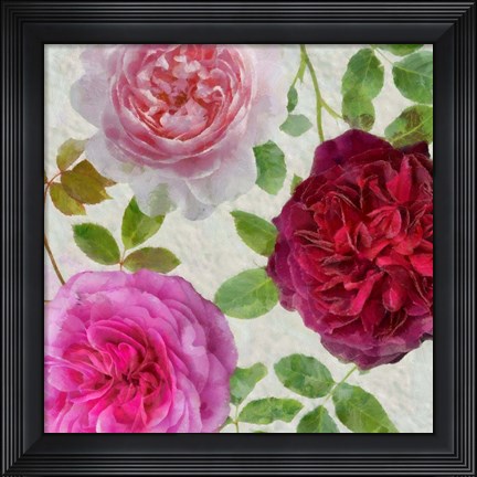 Framed Peonies and Roses V Print