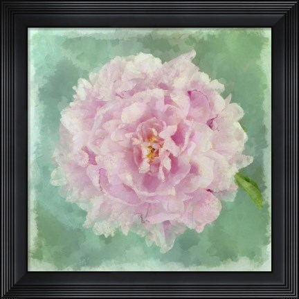 Framed Peony Pink Print