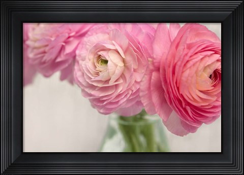 Framed Pink Buttercups in Glass II Print