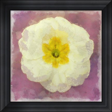 Framed Primrose White Print