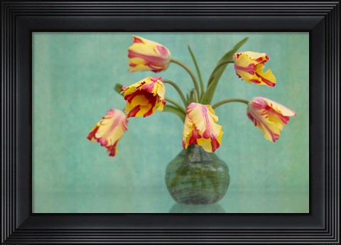 Framed Rembrandt Tulips Print