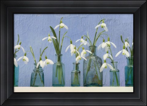 Framed Snoflakes in Little Bottles Print