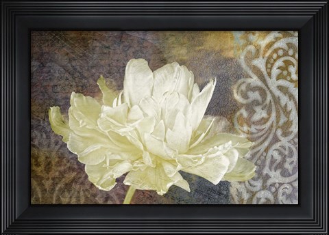 Framed Classic Double White Tulip I Print