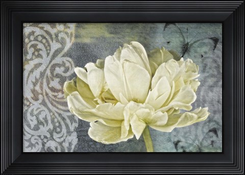 Framed Classic Double White Tulip II Print