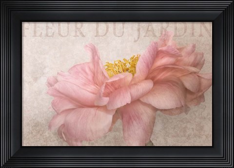 Framed Garden Flower Print